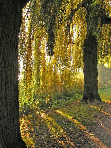 An der Alster 10.jpg