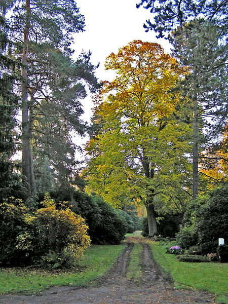 Ohlsdorfer-Friedhof 12