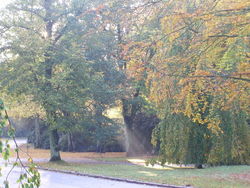 Ohlsdorfer-Friedhof 13