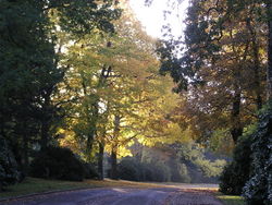 Ohlsdorfer-Friedhof 14

