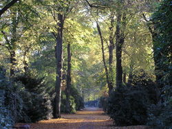 Ohlsdorfer-Friedhof 15