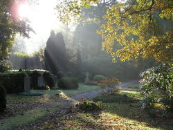 Ohlsdorfer-Friedhof 17