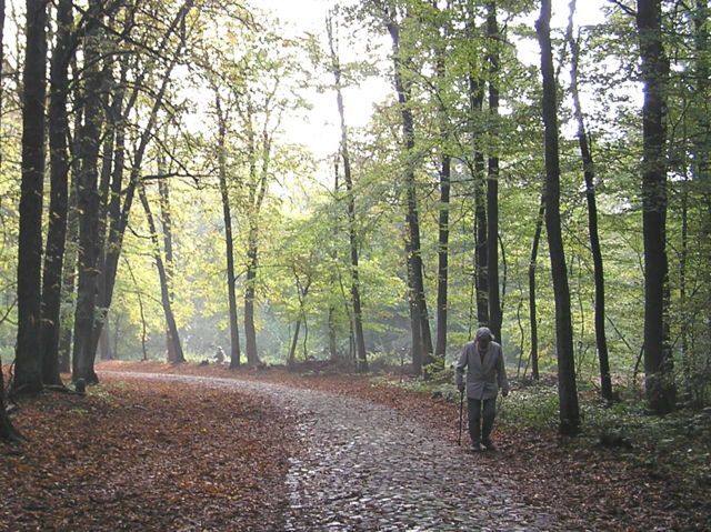 HERBST\PA194071.JPG