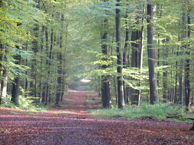 HERBST\PA194100.JPG