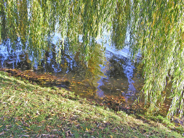 Wasserimpressionen 3.jpg