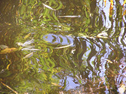 Wasserimpressionen 4.jpg
