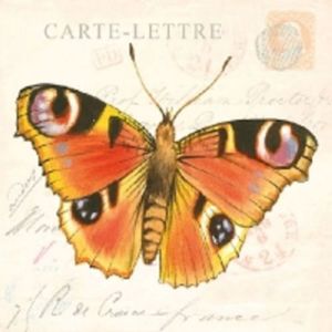 Servietten-20-Serviettentechnik-Butterfly-Cards-Ambiente-33-x