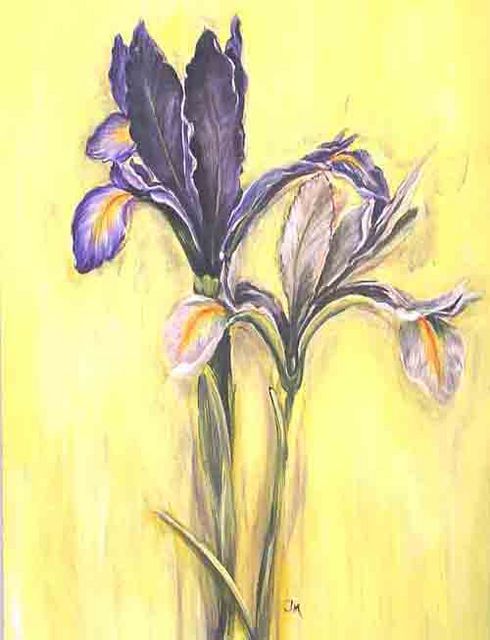 Irisblume/2004 