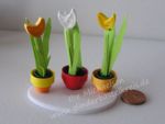 Minitulpe-trio