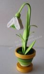 Schneeglckchen1