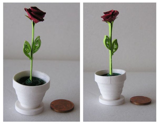minirose-1