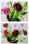 minirose-1-Makro