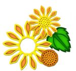  S4-158 Sunflower-Set-Two 