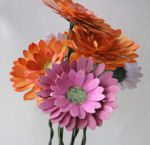 Gerbera-1.jpg