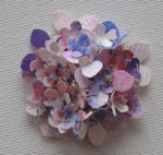 Kleine Hortensie.jpg