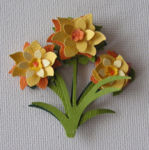 Kleine Narzisse (0).jpg