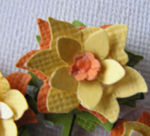 Kleine Narzisse (1).jpg