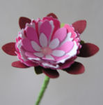 Rosa-Rote Fantasieblume.jpg