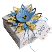  Birthday Wishes Boxby Michelle Woerner
