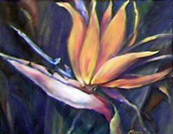 Bild 3  Brasilien 2005. Acryl auf Leinwand 40x50cm.jpg