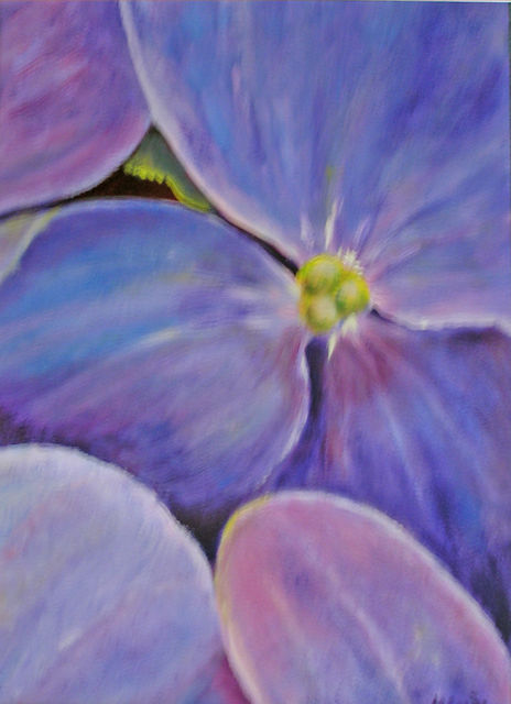 Hortensie 2. Acryl auf Malkarton 38x48 cm