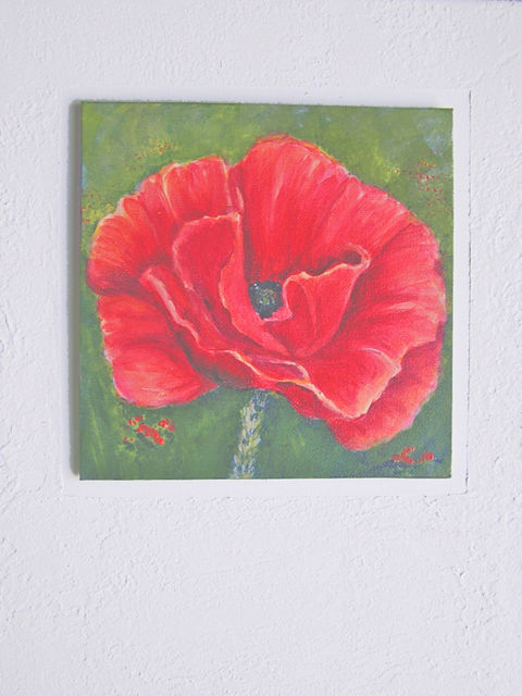 Mohnblume 3. auf Malkarton Kirenze 20x20cm, dieser auf Leinwand 30x40 mit Struktur