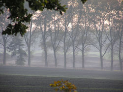 Glinde am Golfplatz