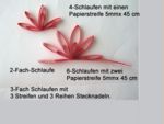 4 x 2-Fach Schlaufe-6