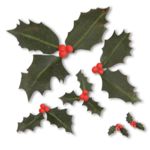 659654-Christmas Holly
 PDF VIDEO